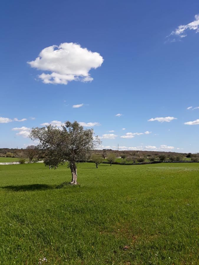 诺西Enjoytrulli - Countryside别墅 外观 照片